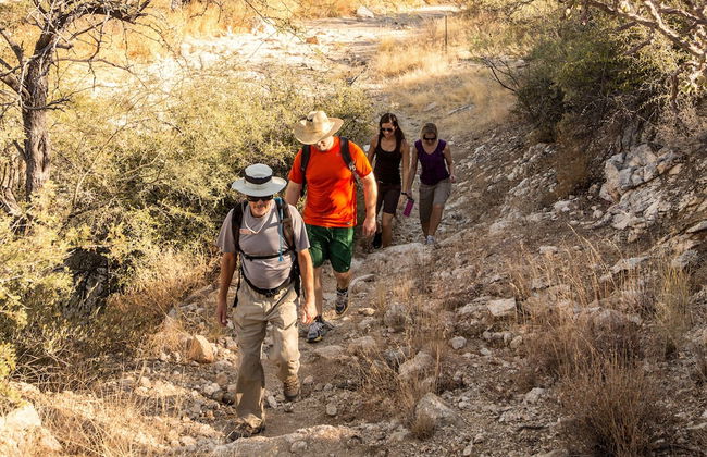 Tanque Verde Ranch - Photo 51