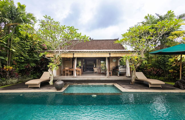 Devi's Place - Foto 67