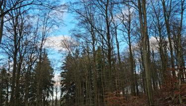 Ferienhaus Johann - Foto 2