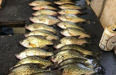 Spacious 5 Bedroom Cabin with Riverview & Black Lake Access - Foto 56