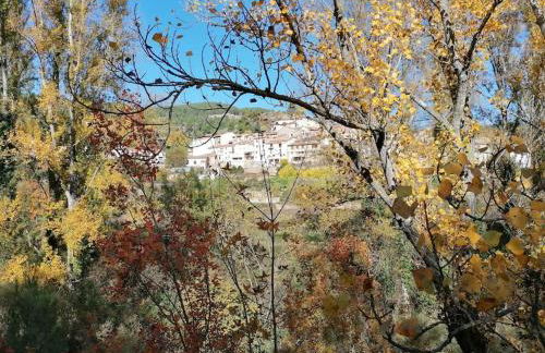 La Casirria - Foto 6