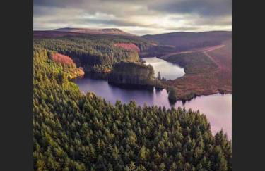 Woodland lodge, apartment - Foto 41