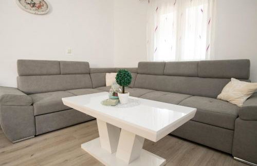 Amaryllis - Photo 18