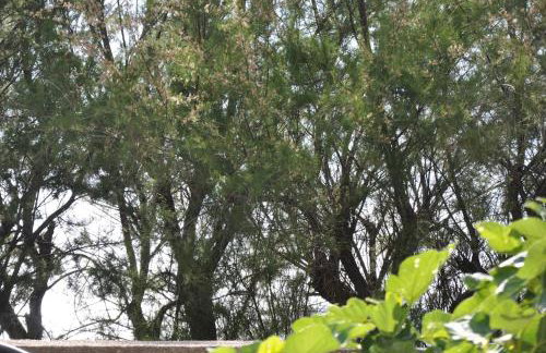 Incatevole sul mare - Foto 24