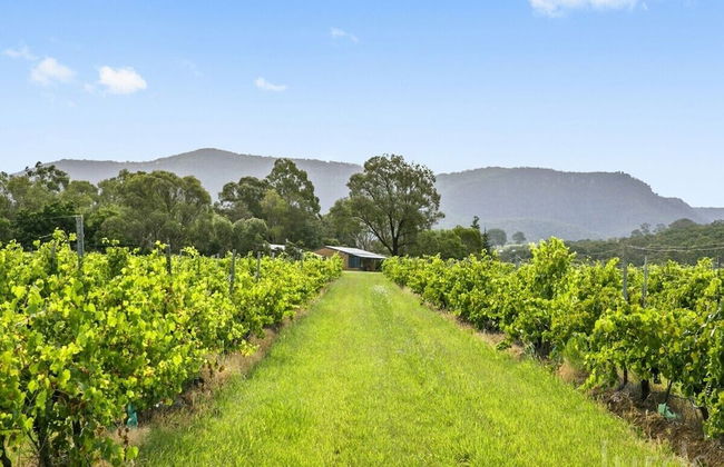 Pokolbin Farm Stay - Foto 62