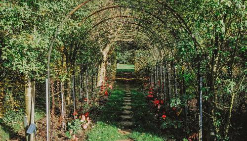 Mind The Gap - Foto 5, Garden