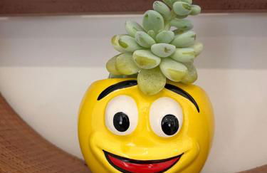 Casa da Pitoquinha I - Foto 8