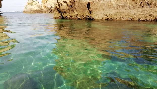 Voile, natation & tapas - Photo 4, Eaux claires de Ponta da Piedade