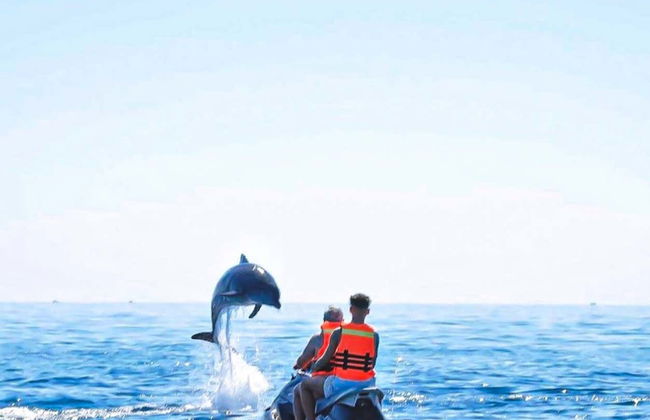 Avistamiento de delfines en Djerba - Foto 3