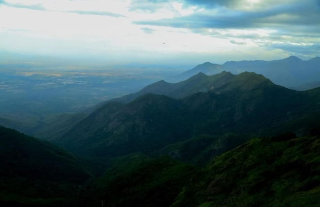 The Pear County - Foto 29