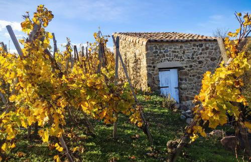 Condrieu et parking voiture vélo 2 ème étage - Foto 30