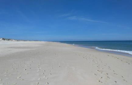 Cabanas Garden By HnM - Photo 20