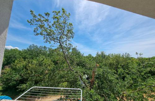 Apartment & Room Danijel - Foto 44