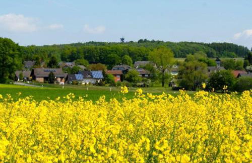 Holiday Home Am Beulskopf - Foto 45