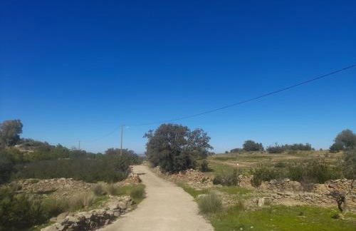 Blue&YellowHouse - Foto 28