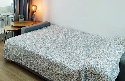 LUXURY APARTMENT SCIENCES CITY Valencia B - Foto 13