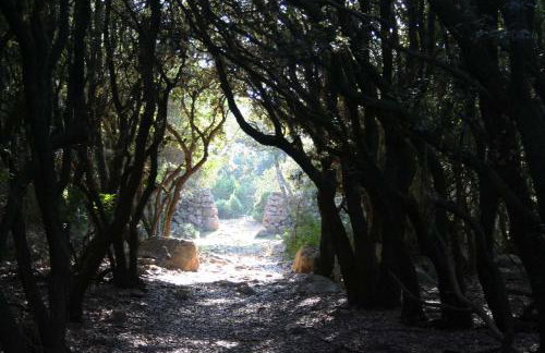 Casa Mattea - Foto 46