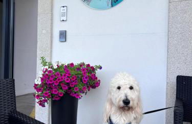 Aparthotel Ría de Lires - Foto 24