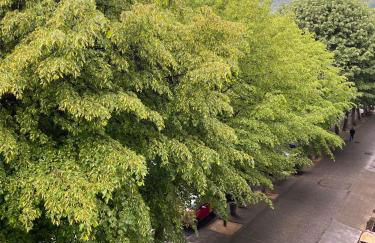 AU 47 ALLÉES D'ETIGNY - CENTRAL & STANDING - avec parking - Linge de lit et de toilette inclus - Foto 74