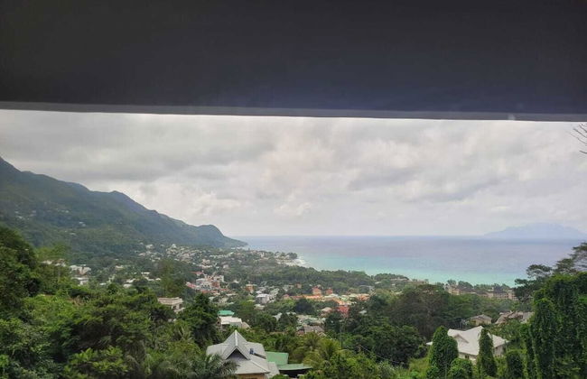 Wild Vanilla Apartment - Photo 51