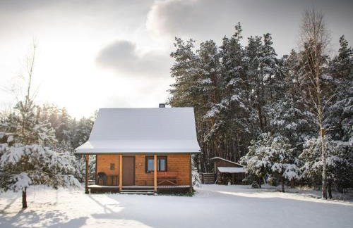 Leśna 21 Dom Północ przy PUSZCZA BIAŁOWIESKA - Foto 74
