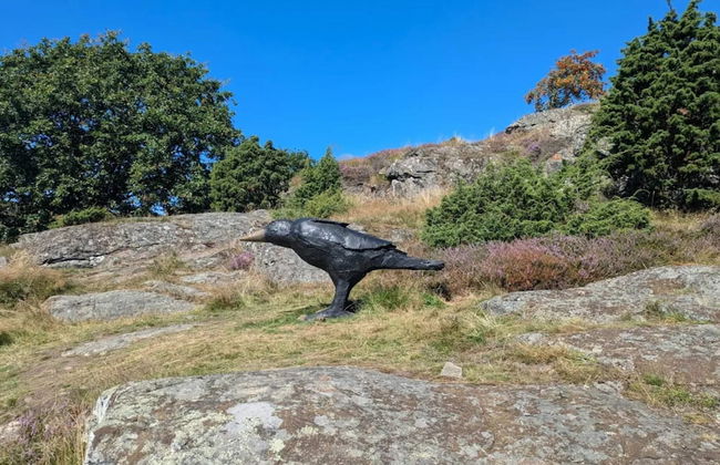 4 Person Holiday Home in Kyrkesund-by Traum - Foto 14