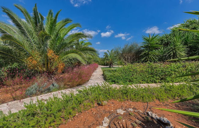 Villa Mila - Foto 47