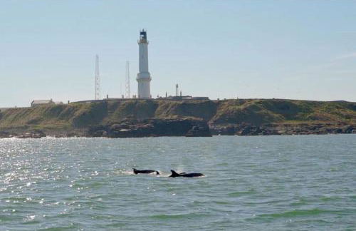 Lighthouse Cottage With Hottub - Foto 19