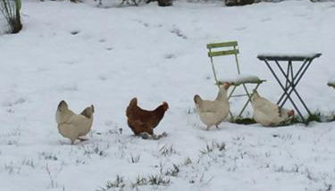 Gîte LES ARMINAUX - Foto 4