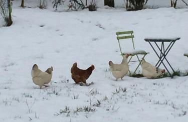 Gîte LES ARMINAUX - Foto 4