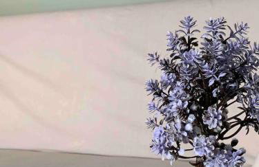 Cleopatra's Cozy Cottage - Foto 19