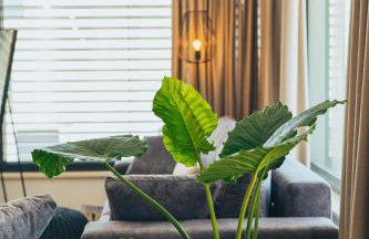 Villa Excellente - Foto 47