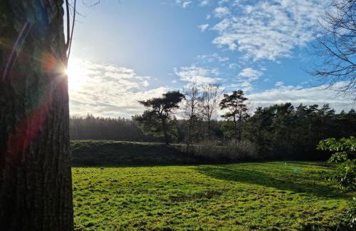 Waldhaus Dötlingen Ferienhaus im Naturpark - Foto 16