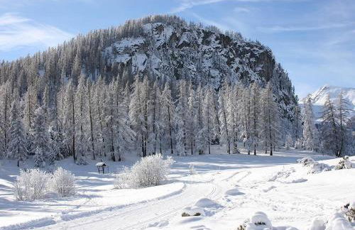 CHALET 16 PERS PROCHE DES PISTES - Foto 18