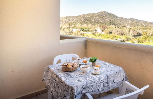 Mono Calamaro Eucalyptus 242 - Foto 1