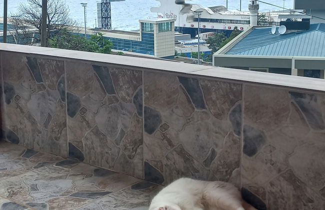 Sarp bungalov - Photo 12