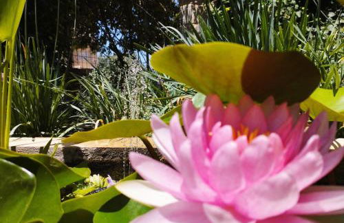 Olive Lemon Biophilic House & Lush Forest Garden - Foto 40