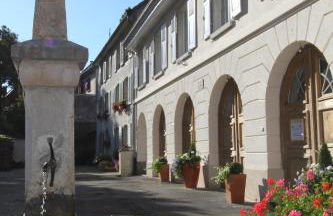 La Maison des Fontaines D'alsace - Foto 110