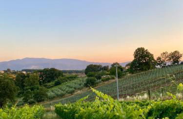 Donna Vittori - Borgo Agricolo - Foto 61