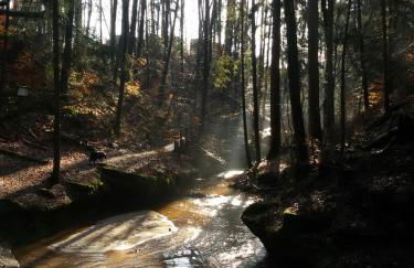 Ferienwohnung Günther - Foto 9