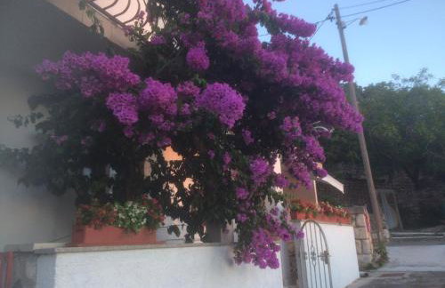 Apartment Marica - Foto 11