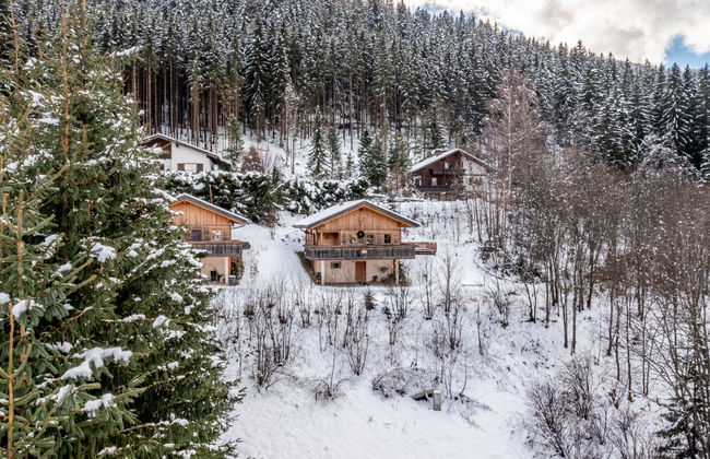 Chalet Venus - Photo 40