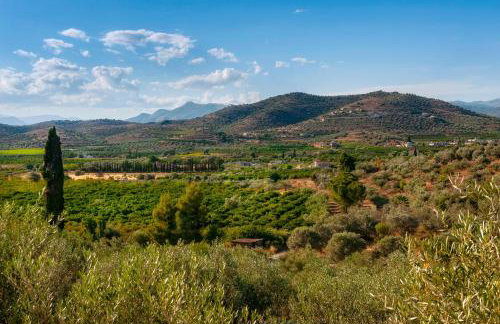 KTIMA CONSTANTIN - Foto 20