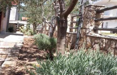 Apartments Smilje i Maslina - Photo 26