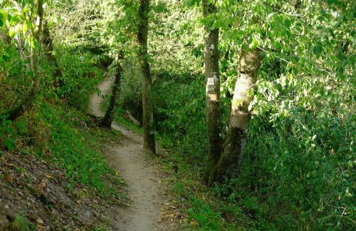 Ferienwohnung-zum-Kueppchen - Foto 22