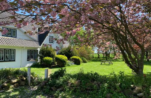 Landhaus Haack - Foto 15