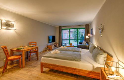 Auszeit-im-Harz Haus 5 Wohnung 11 - Foto 1