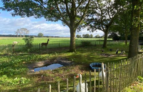 Natures-Rest Wielen "Mendhoo" - Foto 27