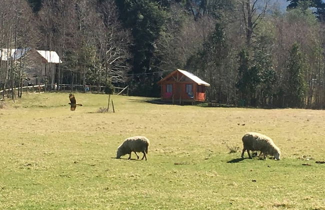 Cabana En La Pradera Lindo Paisaje En Pucon - Foto 21