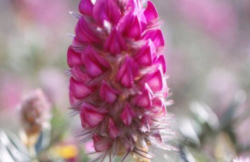 Creta guesthouse ARXONTIKO! - Foto 72